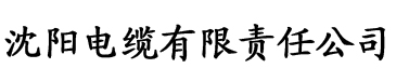 小污女精品91国导航电缆厂logo